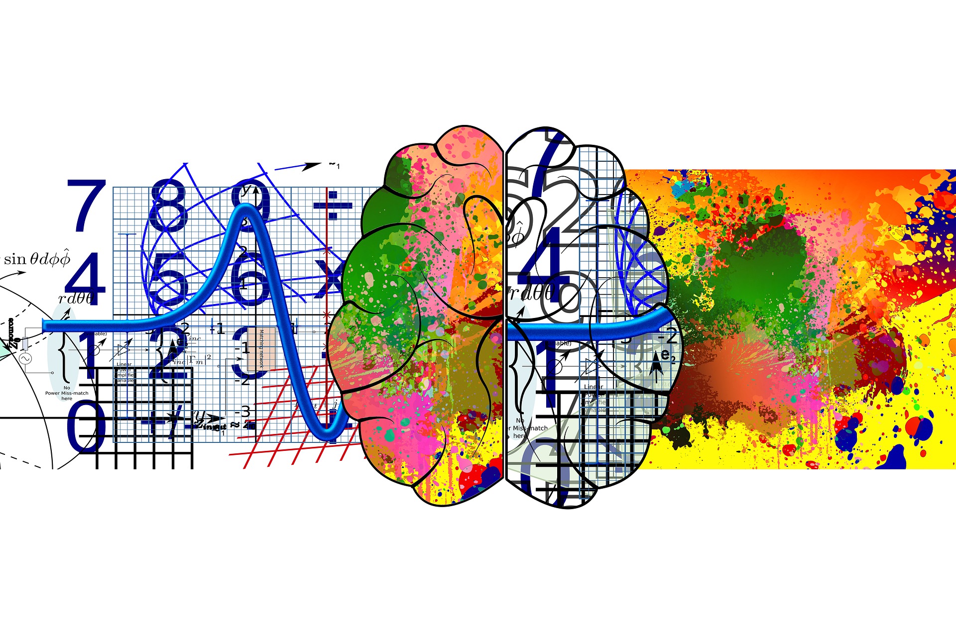 Right and left, art and math brain